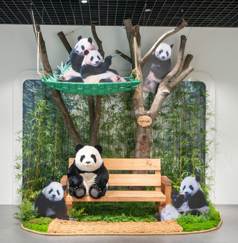 可愛いパンダの姿