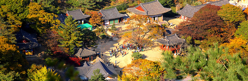 伝灯寺と江華リュージュ