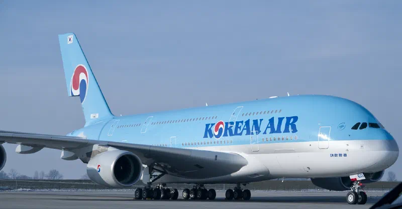 「来月、日本の自由旅行が解除されるか」航空業界、日韓路線が続々増便