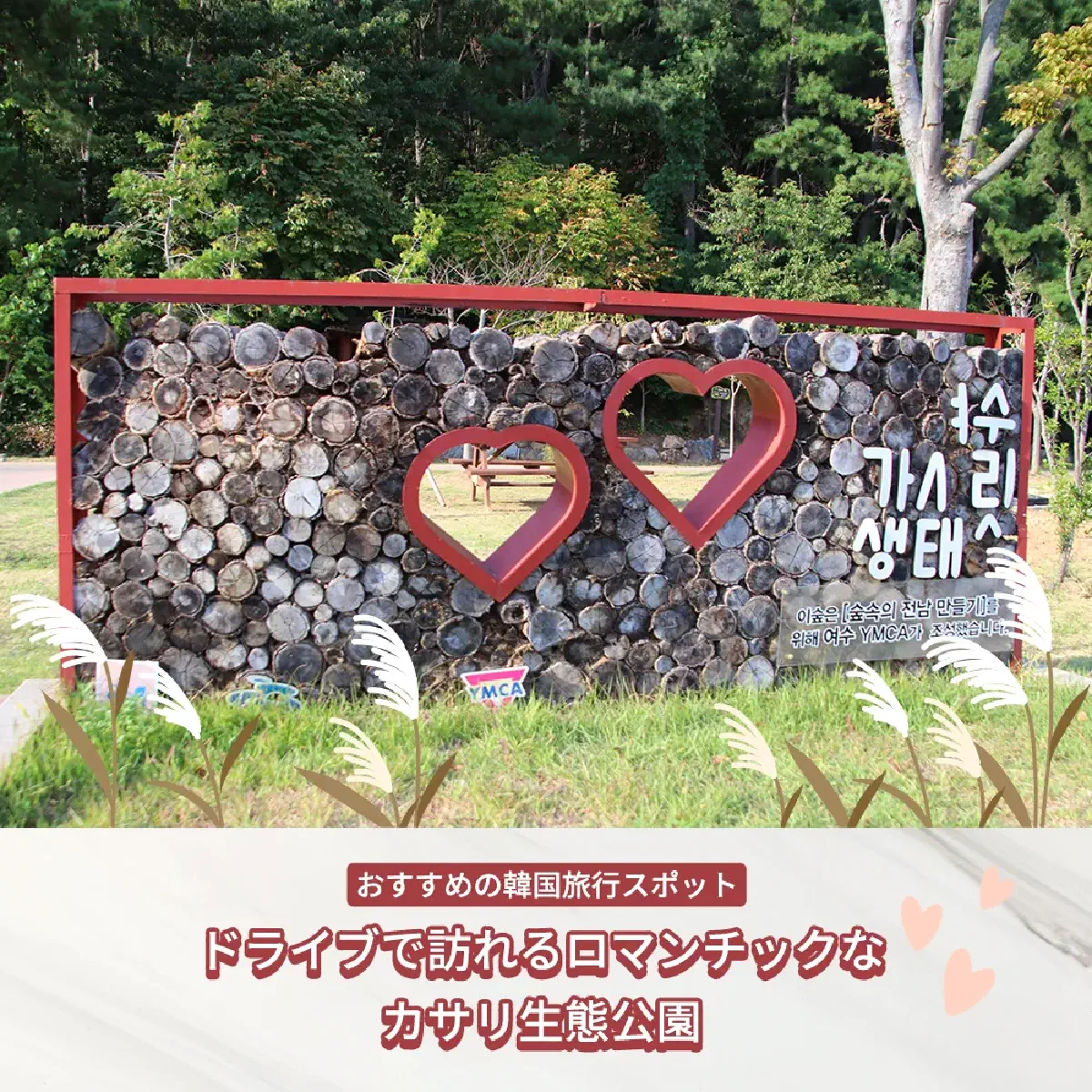 麗水カサリ生態公園 ススキと夕焼けのドライブスポット完全ガイド