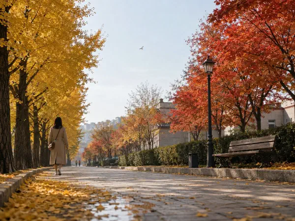 ソウルの紅葉2026|南山・ソウルの森・ハヌル公園の見頃ガイド