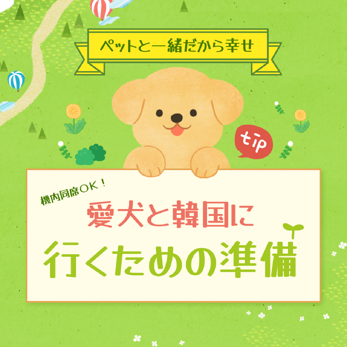 機内同席OK!愛犬と韓国に行くための準備