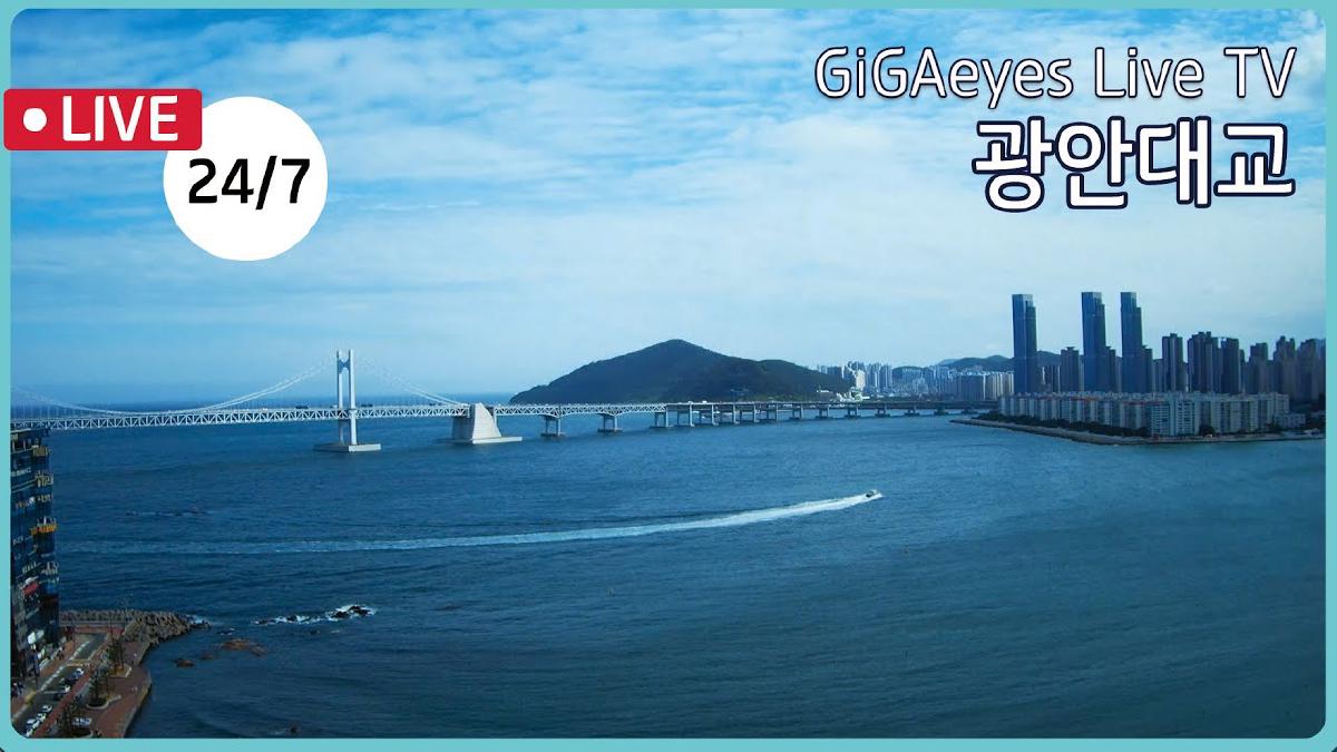 韓国の台風状況を目で確認しよう！「KT GiGAeyes LIVE TV」