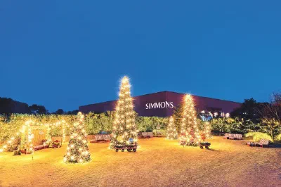 100万人が訪れた！クリスマスツリーの場所は・・・SIMMONS Terrace!