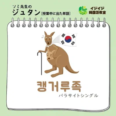 ソミ先生のジュタン「핫하다 - 今話題の流行り」「캥거루족 - パラサイトシングル」