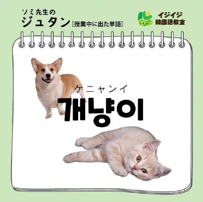 ソミ先生のジュダン「ケニャンイ」
