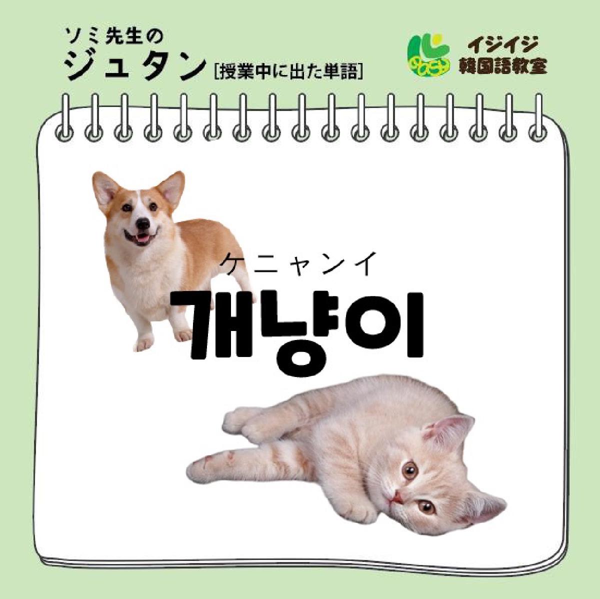 ソミ先生のジュダン「ケニャンイ」